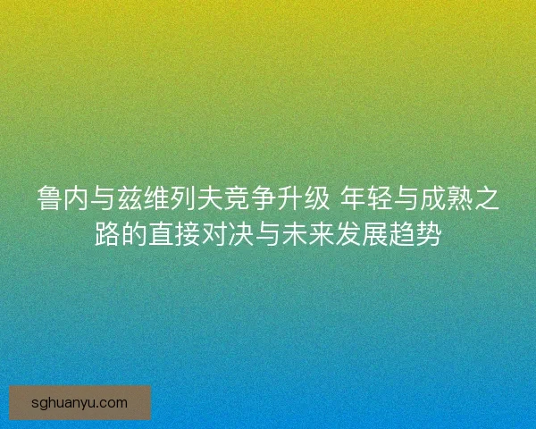 鲁内与兹维列夫竞争升级 年轻与成熟之路的直接对决与未来发展趋势